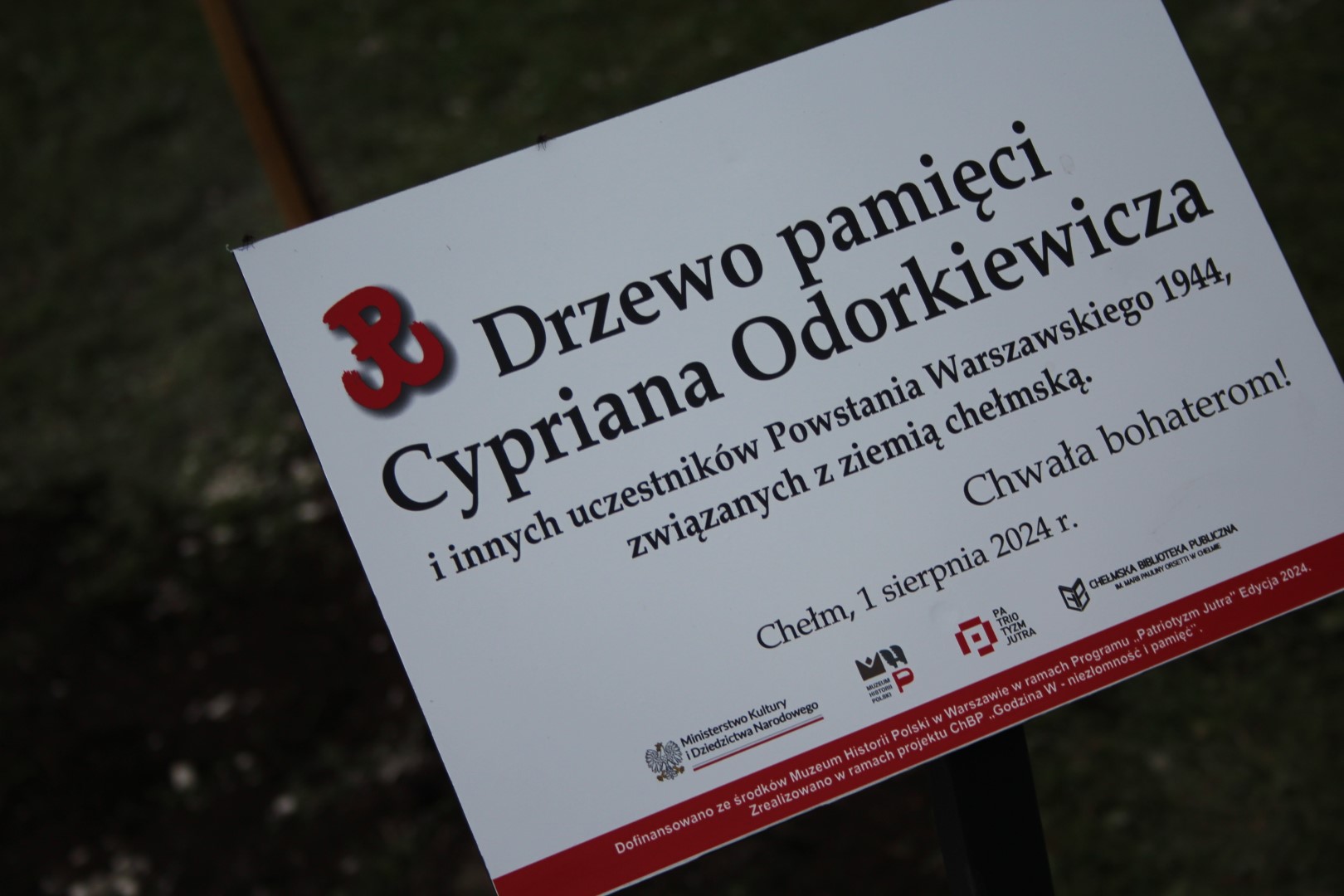 Odsłonięcie drzewa pamięci Cypriana Odorkiewicza